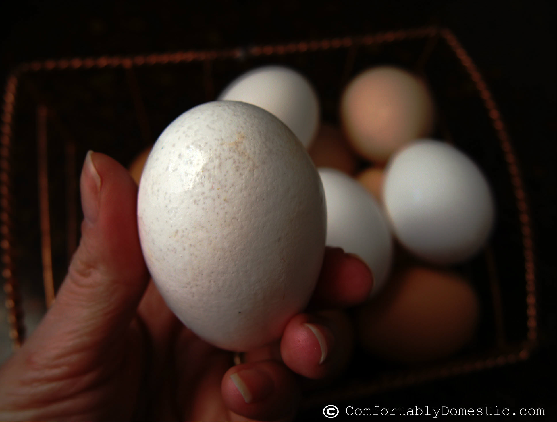 uneven eggshell thickness