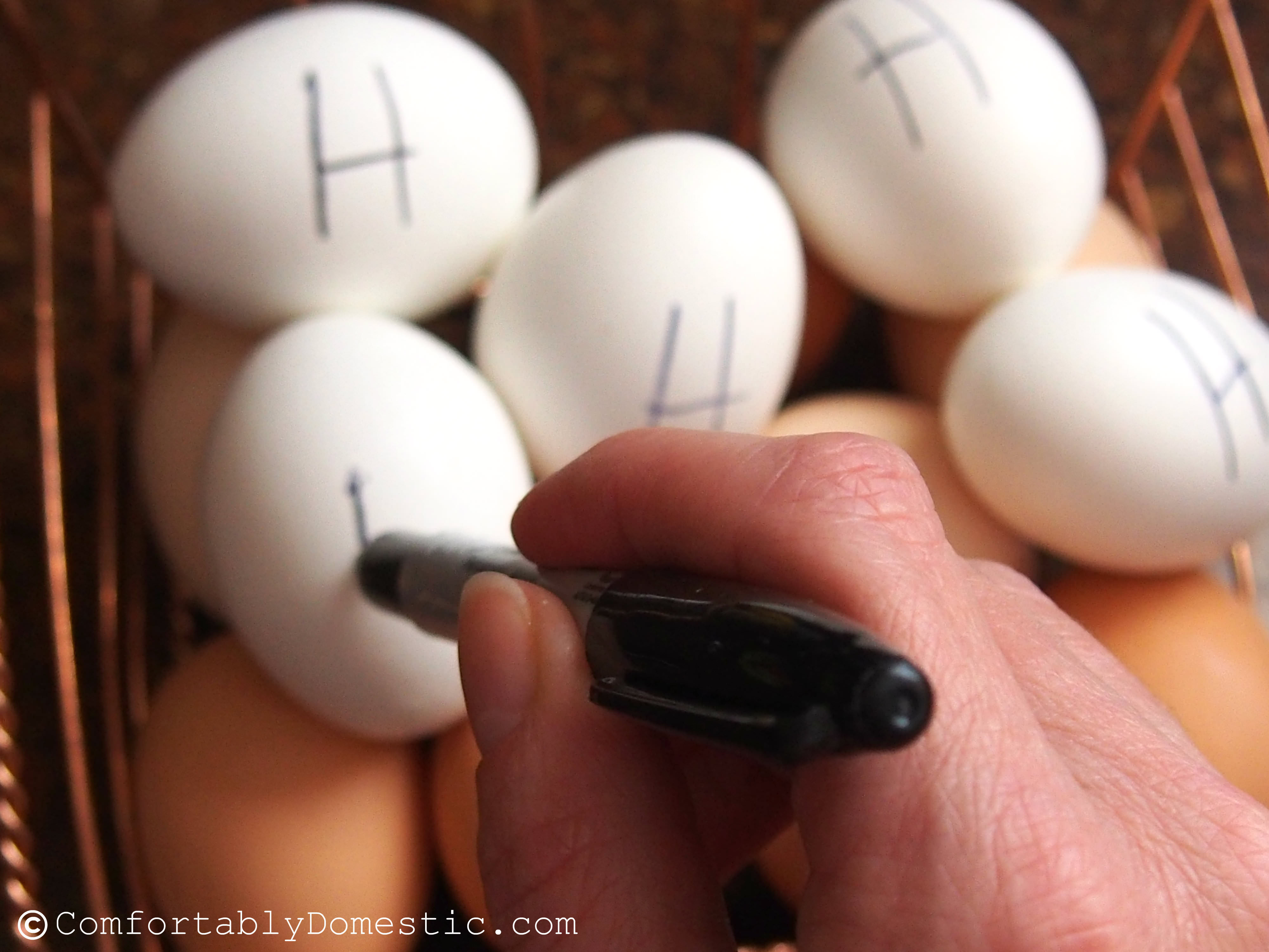 labeling eggs